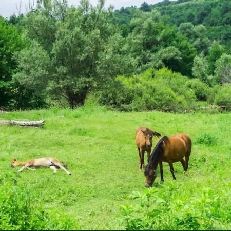 By The River Дом отдыха *