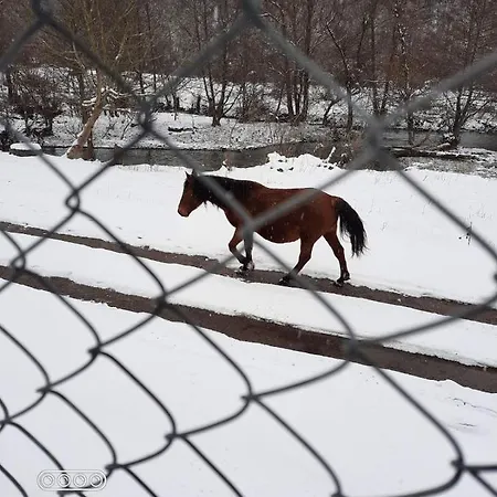 Дом отдыха By The River Stevrek